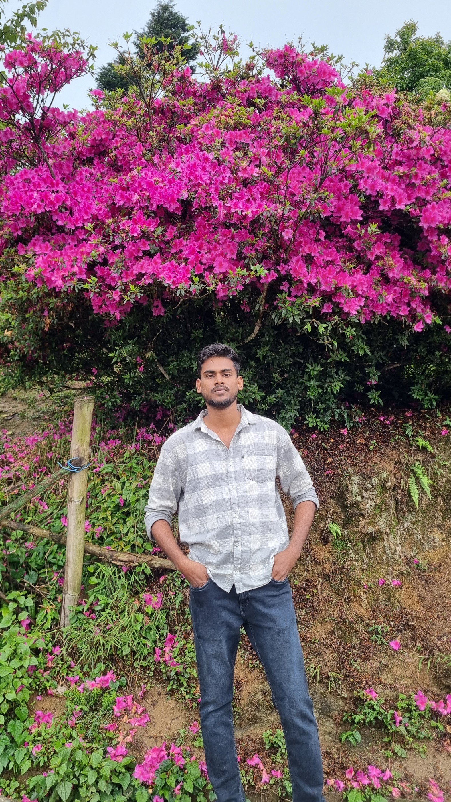 Md sohail ansari